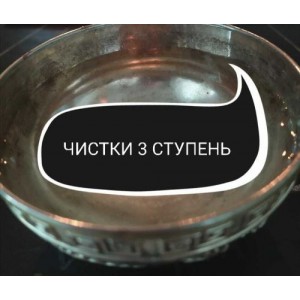 Курс чисток. 3 ступень. Ольга Ракита