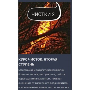 Курс чисток. Вторая ступень. Ольга Ракита