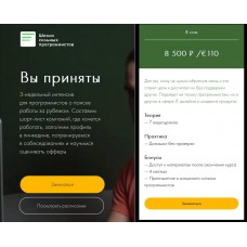 Вы приняты. Фёдор Борщёв, Дмитрий Рожков, Школа сильных программистов