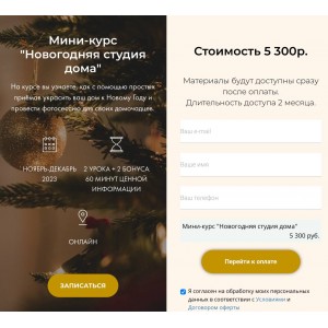 Новогодняя студия дома. Яна Савина