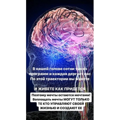 Формирование нейронных связей. Светлана Миронюк