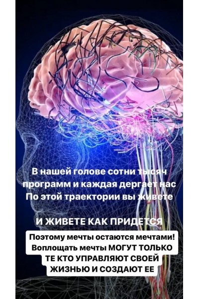 Формирование нейронных связей. Светлана Миронюк