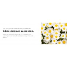 Эффективный директор. Тариф Профи. Наталья Батиг