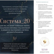 Система_20. Михаил Саидов, Елена Долинская