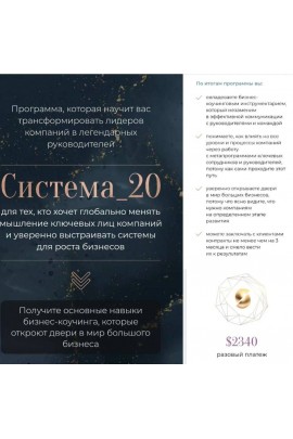 Система_20. Михаил Саидов, Елена Долинская