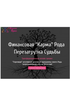Финансовая "Карма" рода. Перезагрузка судьбы. Пакет Золото. Алена Олешко, Ольга Давыдова