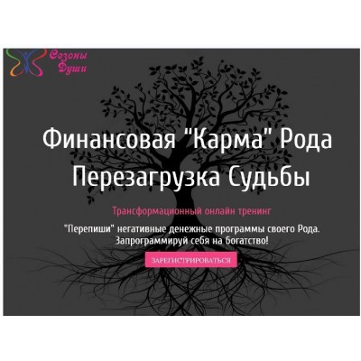 Финансовая "Карма" рода. Перезагрузка судьбы. Пакет Золото. Алена Олешко, Ольга Давыдова