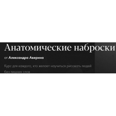 Анатомические наброски. Александр Аверин Академика