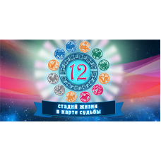 12 стадий жизни в карте Бацзы. Юлия Воронина