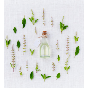 Ароматная аптека. 2019. Галина Колосова