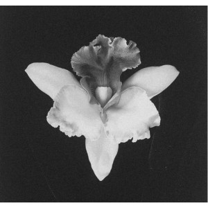 Маточные практики. Злата Сухорукова