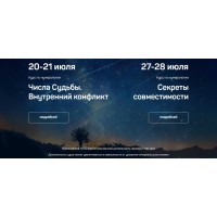 Числа судьбы. Внутренний конфликт + Секреты совместимости. Светлана Белова