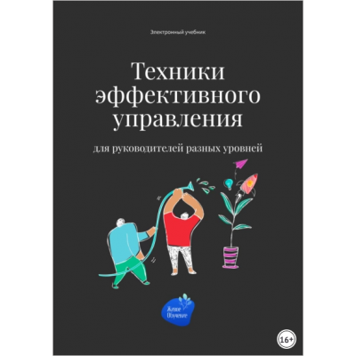 Техники эффективного управления для руководителей разных уровней. Сергей Смирнов