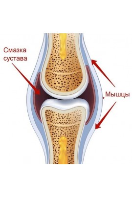 Легко ходим, быстро встаем. Александра Бонина