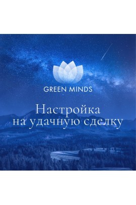 Нейромедитация GREEN MINDS Настройка на удачную сделку. Алексей Ситников