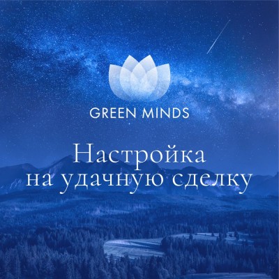 Нейромедитация GREEN MINDS Настройка на удачную сделку. Алексей Ситников