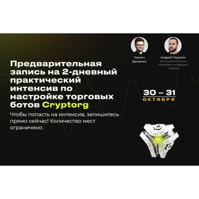 2-дневный практический интенсив по настройке торговых ботов Cryptorg. Карлен Даниелян