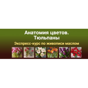 Анатомия цветов. Тюльпаны Масло. Татьяна Зубова ZartSchool Анатомия цветов. Тюльпаны Масло. Татьяна Зубова ZartSchool