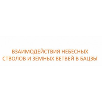 Взаимодействия небесных стволов и земных ветвей в Бацзы. Анна Подчернина