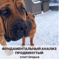 Фундаментальный анализ. Арина Веспер Vesperfin