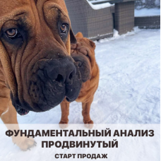 Фундаментальный анализ. Арина Веспер Vesperfin