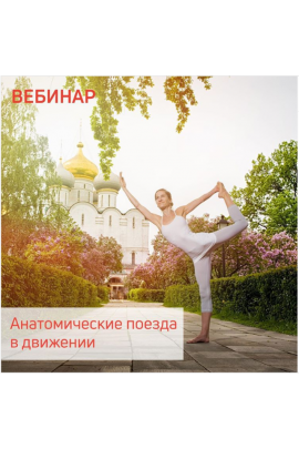 Анатомические поезда в движении. Александра Кибзий, Анна Селиверстова Центр Практика