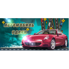 Автомобиль удачи. Юлия Воронина