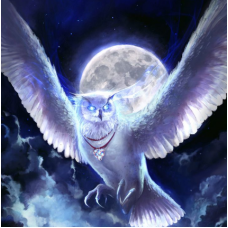 Магия Красоты и Молодости. Елена Мирошниченко Сова - Онлайн школа волшебства