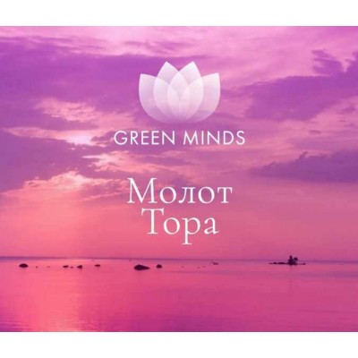 Нейромедитация Green Minds «Молот Тора». Алексей Ситников