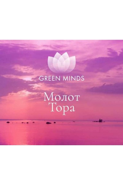 Нейромедитация Green Minds «Молот Тора». Алексей Ситников