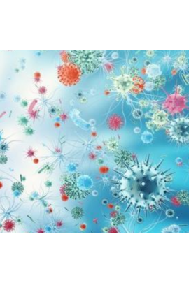 Коррекция исцеление от вирусов. Юджиния Квант