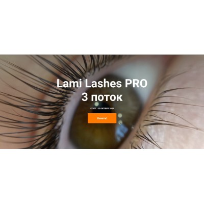 Lami Lashes Pro 3 поток. Тариф Стандартный+. Анна Ромашенко