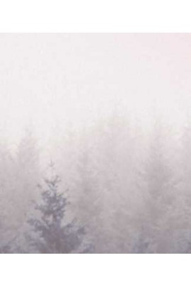 Коррекция опорно-двигательной и висцеральной систем. Юрий Чикуров