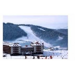 Комплексное воздействие для лучшего результата: теория и практика. Александр Палиенко Комплексное воздействие для лучшего результата: теория и практика. Александр Палиенко