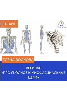 Про сколиоз и миофасциальные цепи. Елена Волкова