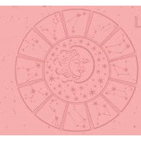 Полный курс ЦзыВэй Доу Шу. Глубокая астрология за 6 уроков. Ольга Николаева