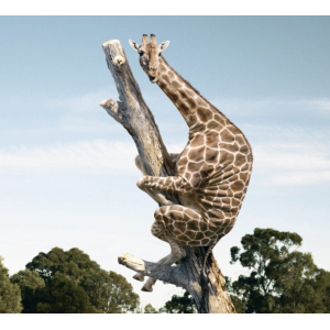 Без паники! Учимся работать со страхами, фобиями, паническими атаками. Михаил Лабковский