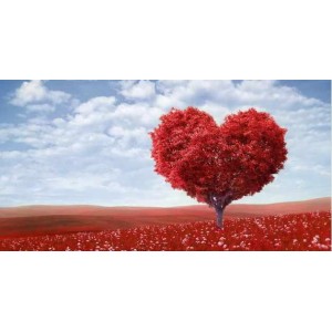 Азбука любви к себе: учимся себя принимать. Только конкретика! Михаил Лабковский