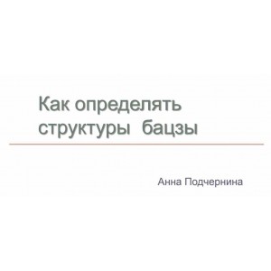 Все о структурах богатства в бацзы. Анна Подчернина