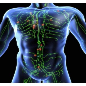 Очищение лимфатической системы. Евгений Козлов Академия здоровья Огулова Очищение лимфатической системы. Евгений Козлов Академия здоровья Огулова