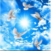  10, 11, 12 энергетический центр. Юджиния Квант