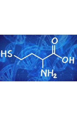 Как снизить гомоцистеин самостоятельно?. Диляра Лебедева