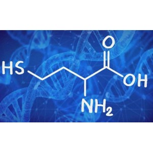 Как снизить гомоцистеин самостоятельно?. Диляра Лебедева