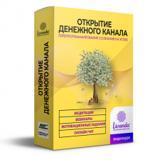 Открытие денежного канала. Пакет Максимальный. Ливанда