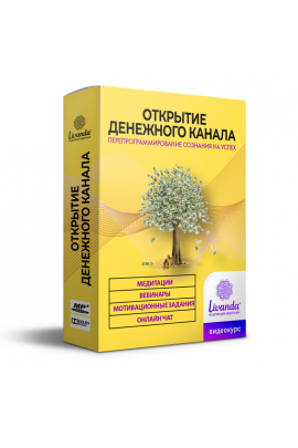 Открытие денежного канала. Пакет Максимальный. Ливанда