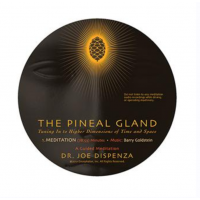 Шишковидная железа - настройка на высшие измерения пространства и времени. Джо Диспенза Медитация