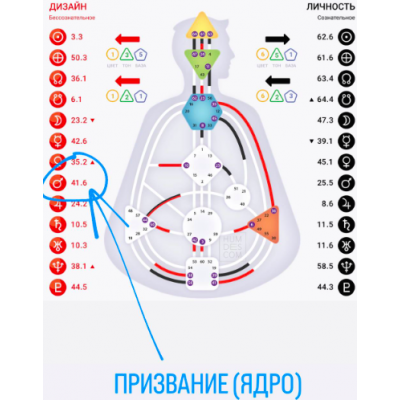 Призвание. Дизайн человека. Дмитрий Богацкий