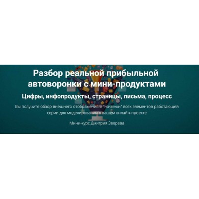 Разбор реальной прибыльной автоворонки. Дмитрий Зверев