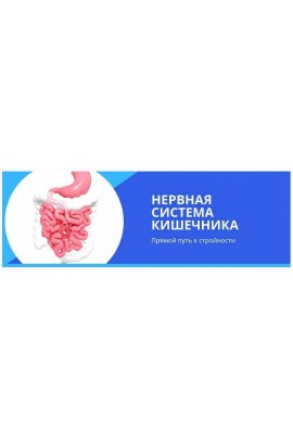 Нервная система кишечника. Прямой путь к стройности. Денис Штерев ShtDY