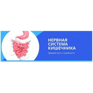 Нервная система кишечника. Прямой путь к стройности. Денис Штерев ShtDY Нервная система кишечника. Прямой путь к стройности. Денис Штерев ShtDY
